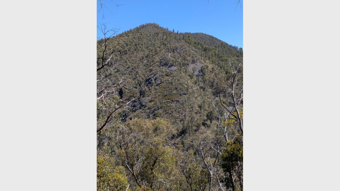 feature image for HILL 1409