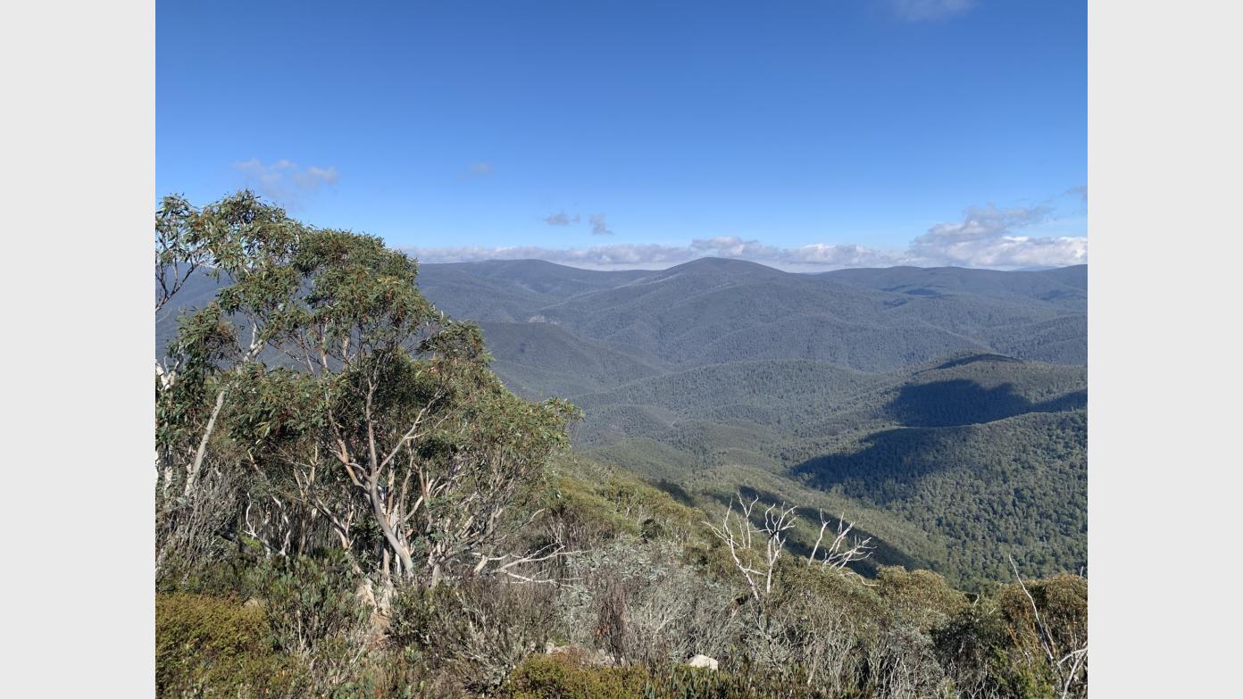 feature image for Fishing Gap and Mt Domain