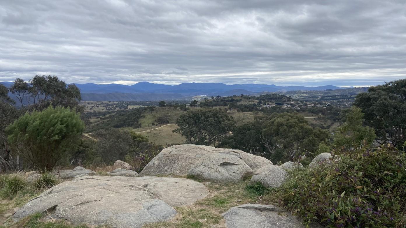 feature image for Short morning walk - Cooleman Ridge