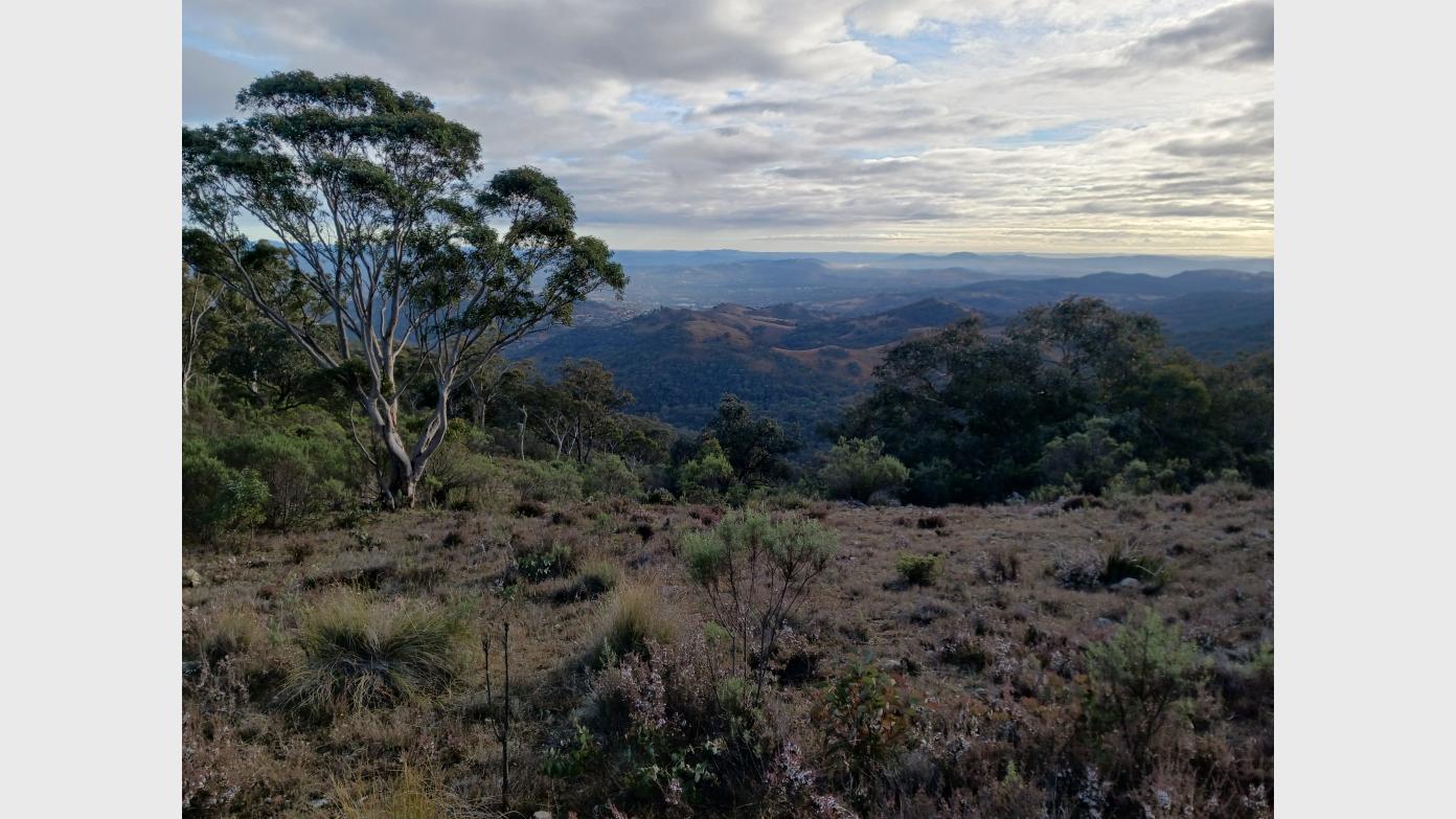 feature image for Rob Roy Range Nature Reserve