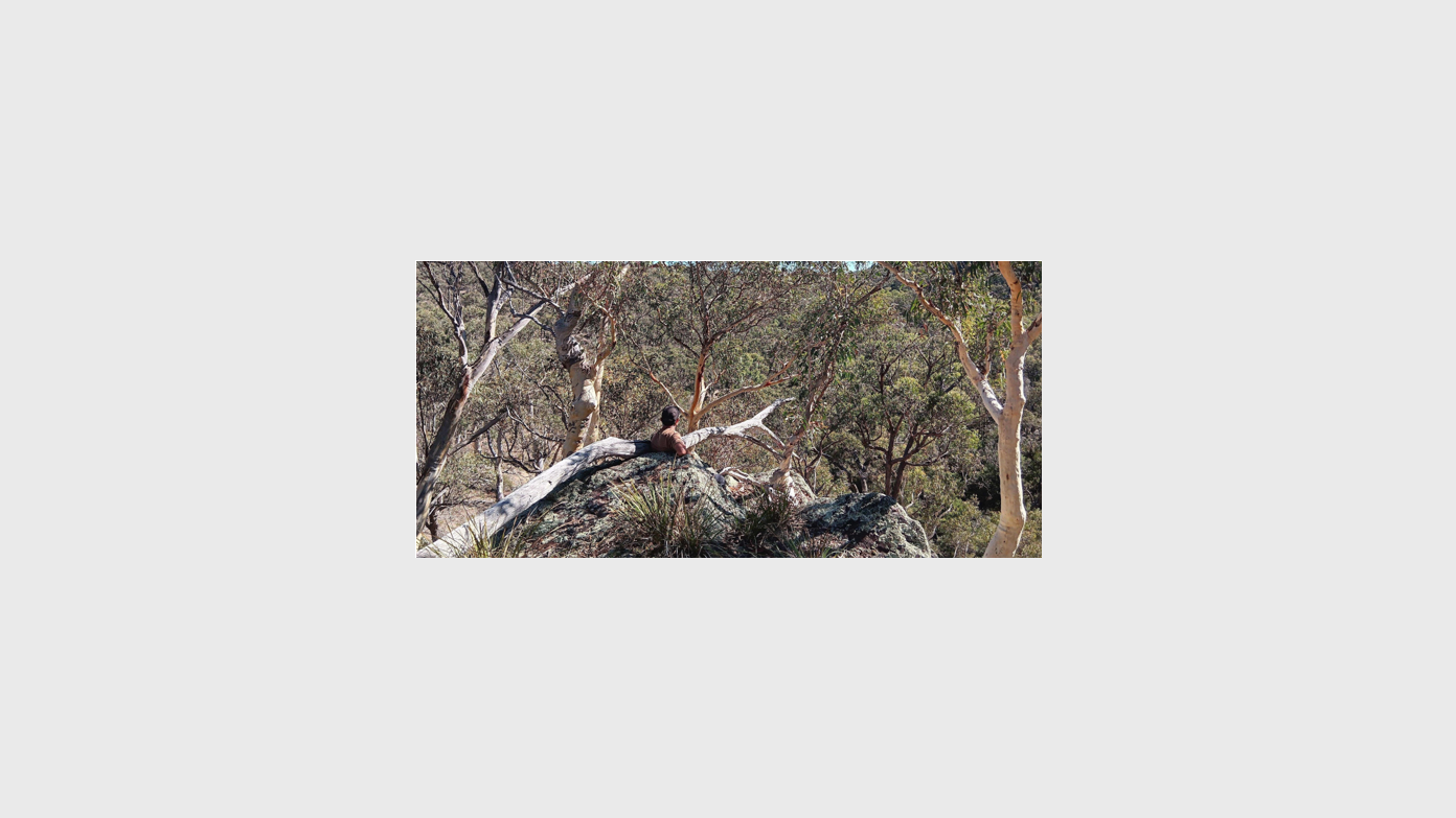 feature image for In, Out and In between Cuumbeun Nature Reserve