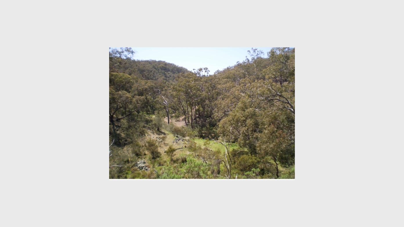 feature image for Easy-Medium Wednesday Walk #2, 25 March - MOUNT REEDY & KOWEN ESCARPMENT NATURE RESERVE (NPA)