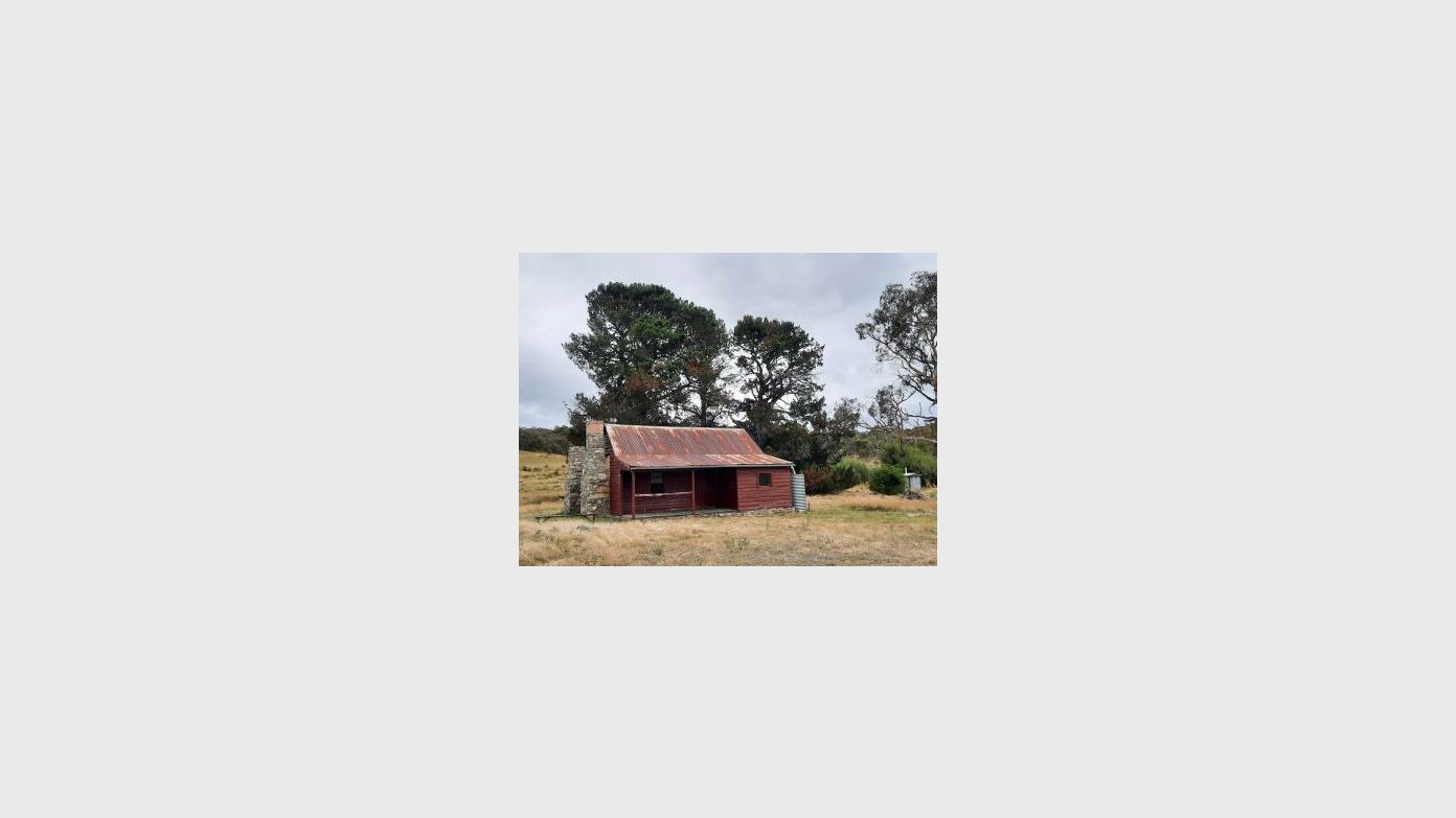 feature image for Medium-Hard Wednesday Walk , 25 March - PHEASANT HILL & BOBOYAN DIVIDE (NPA)