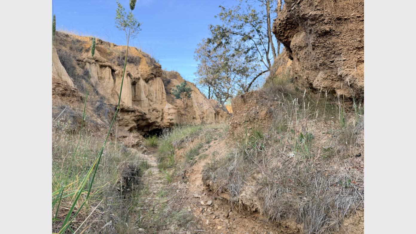 feature image for Goorooyarroo Nature Reserve like you may not have seen it before