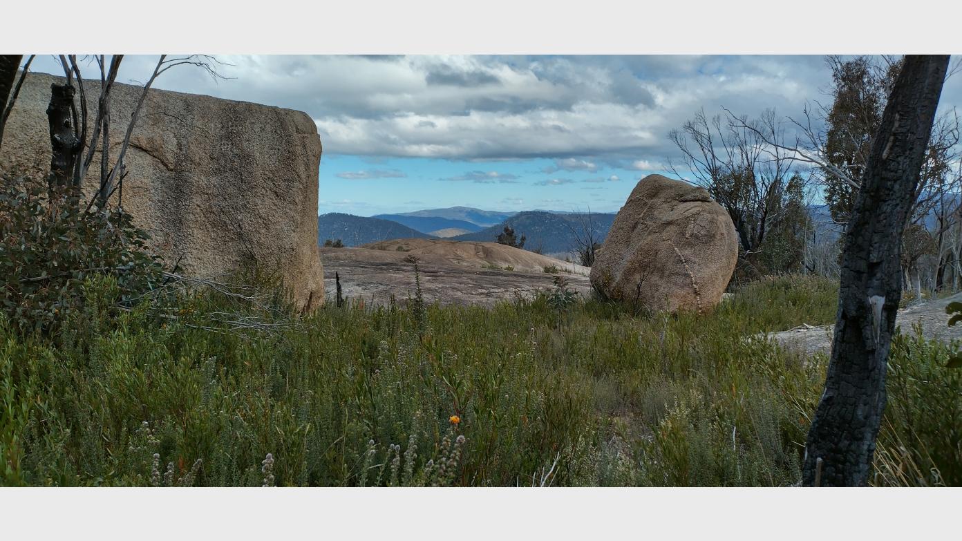 feature image for BLUE GUM HILL ROCK SLABS