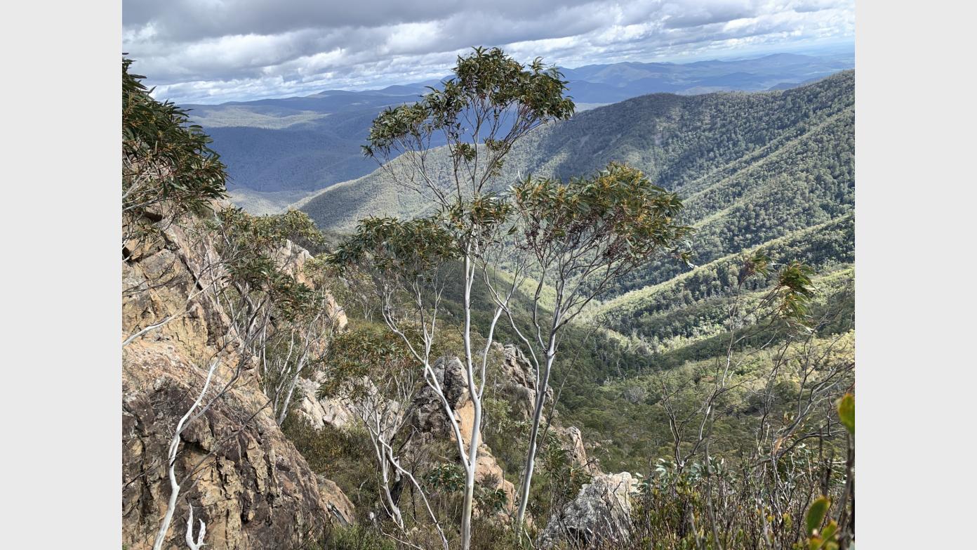 feature image for Late Notice Trip - Northern Section of the Minjagari Track Network
