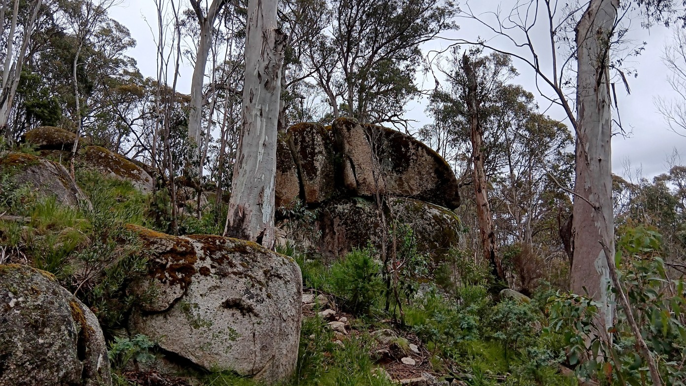 feature image for Square Rock & Smokers Trail