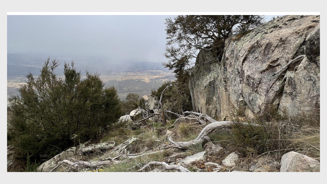 feature image for Mt Tennent