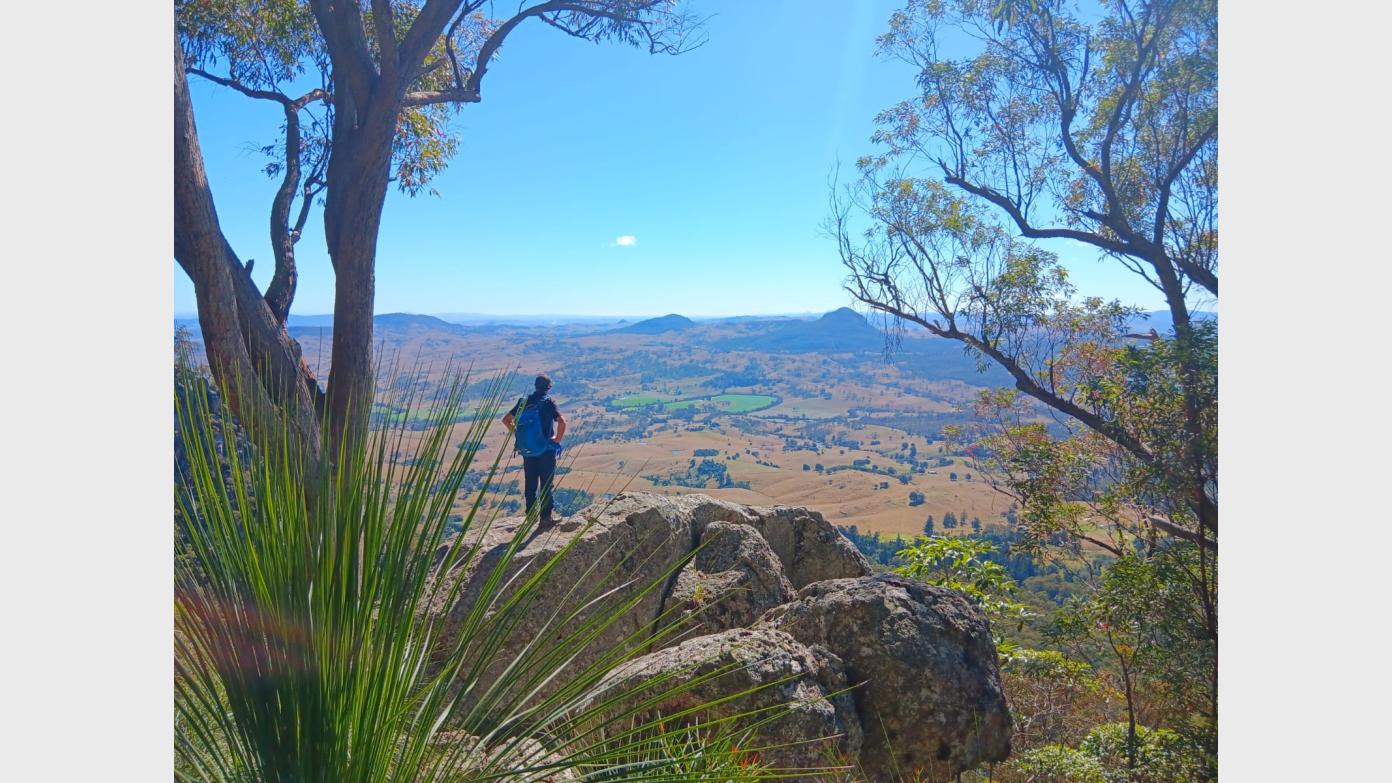 feature image for Nature Connection Through the Lens