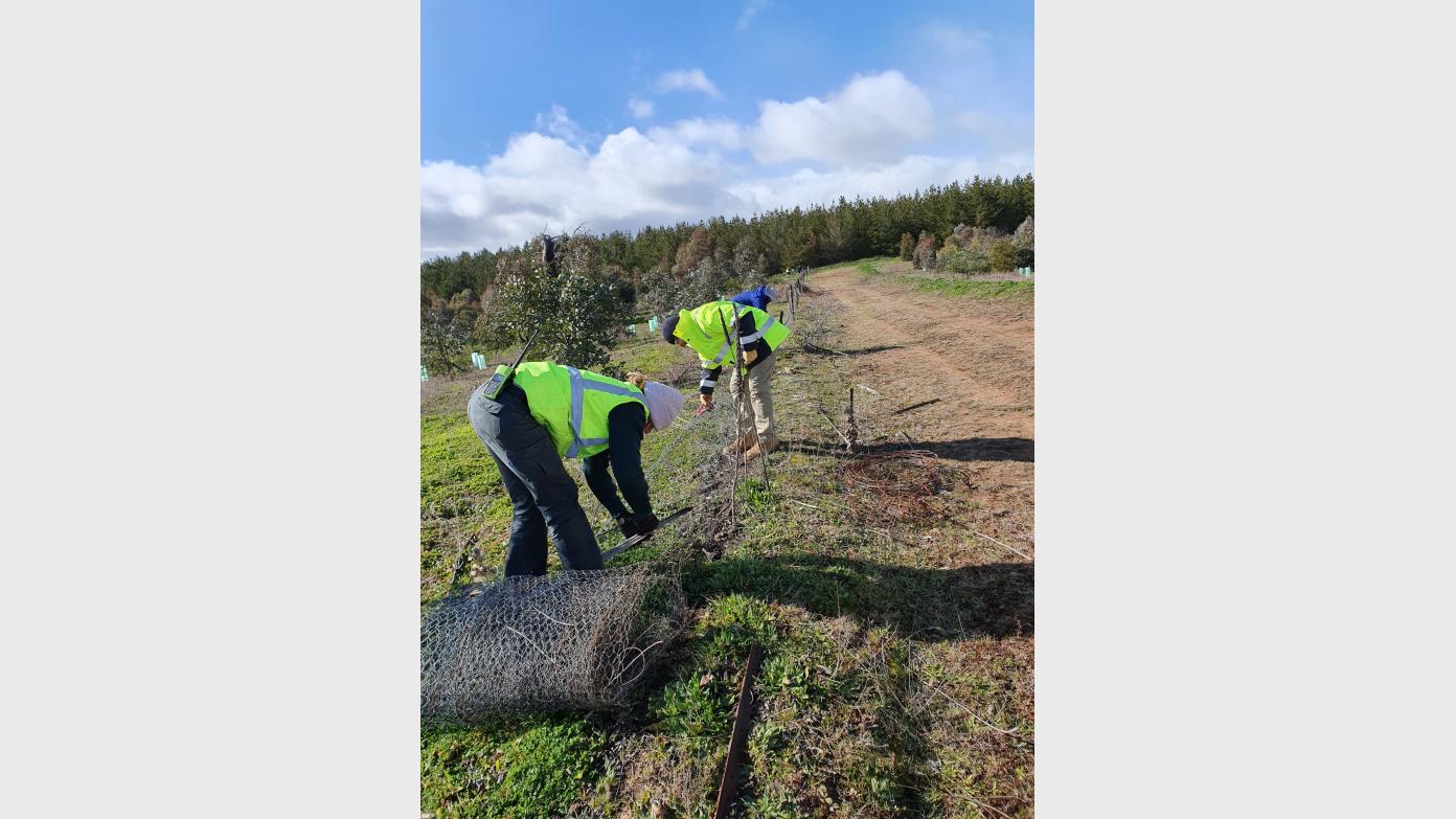 feature image for Help Protect Our Wildlife! Fence Removal: Stony Creek NR