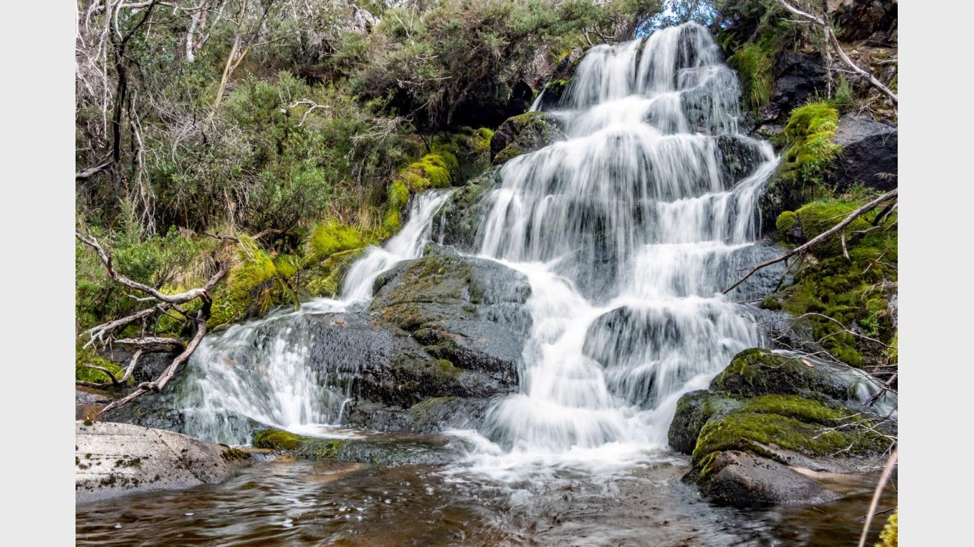 feature image for M-H Wednesday Walk Upper Stockyard Creek Falls