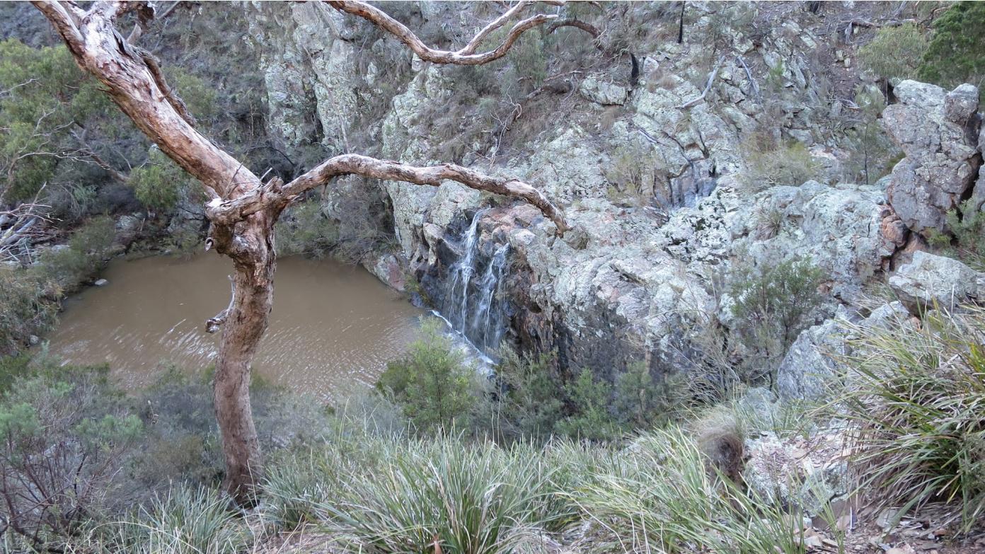 feature image for Thursday ramble to an unnamed waterfall in Kowen Forest