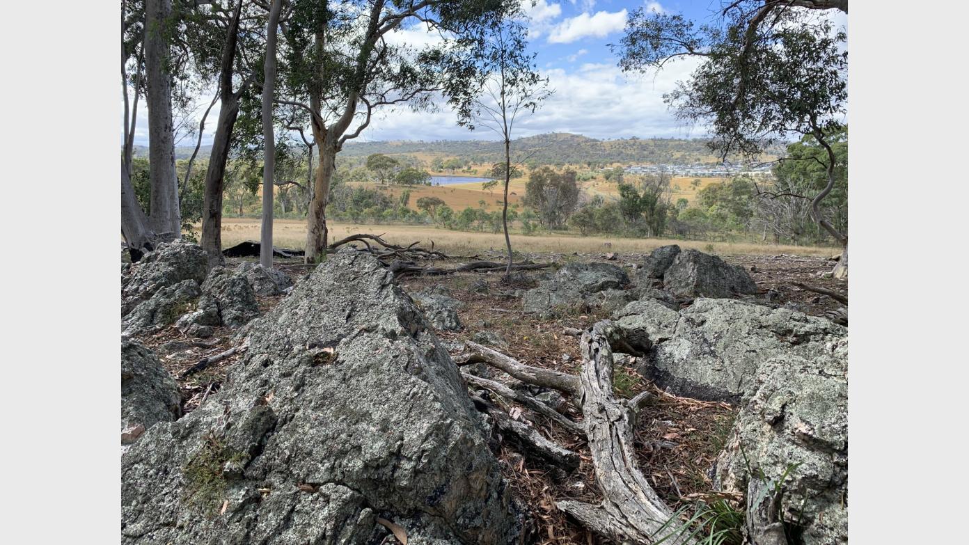 feature image for Goorooyarroo Nature Reserve