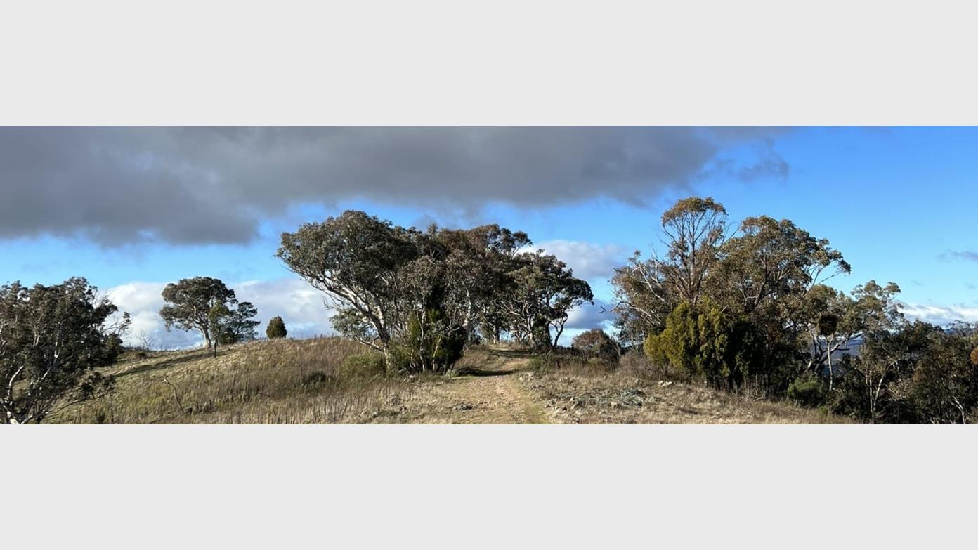 feature image for Wanniassa Hills - Walking and Wondering