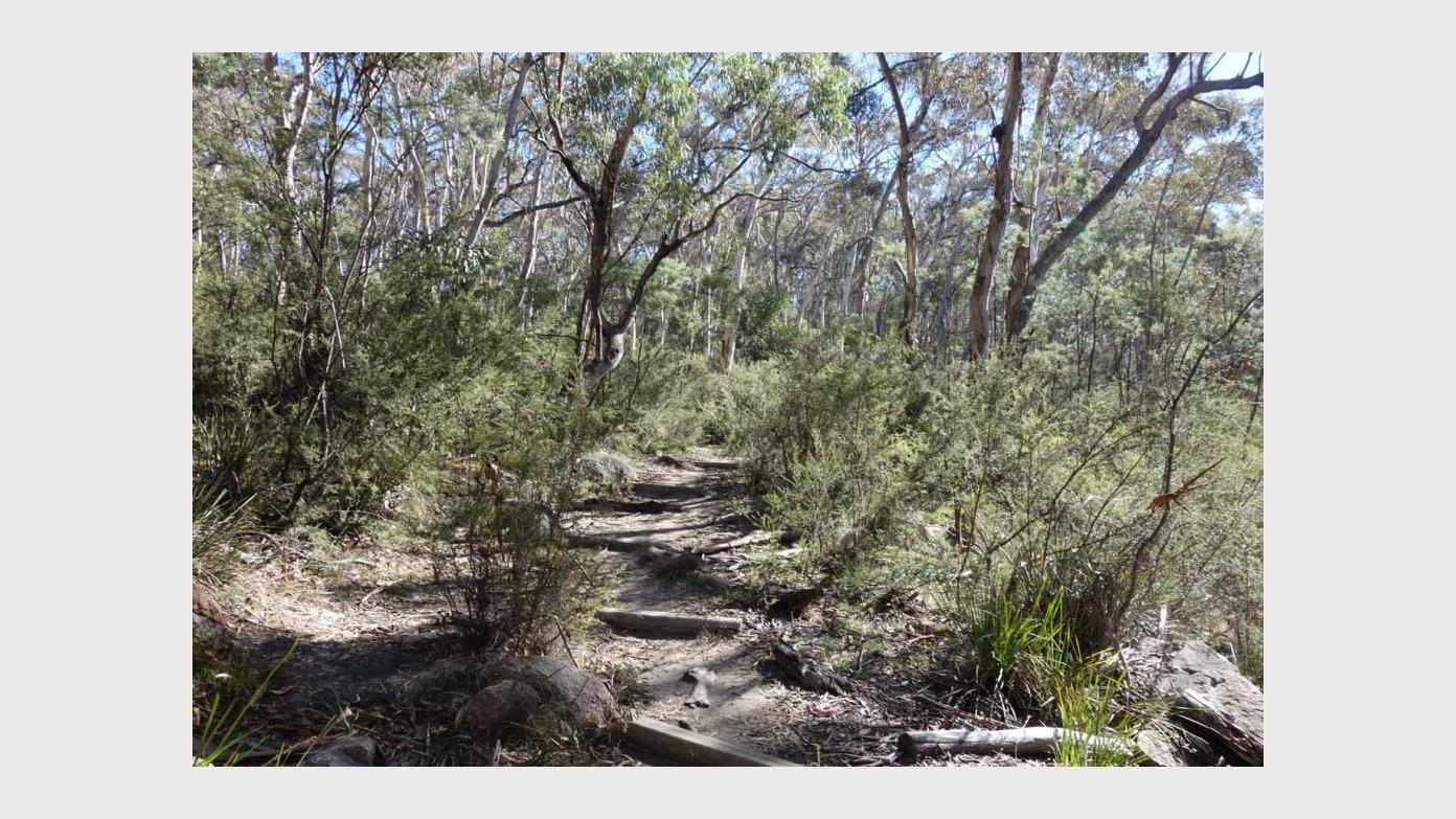 feature image for M/H WEDNESDAY WALK: Mt Tennent and its southern spur