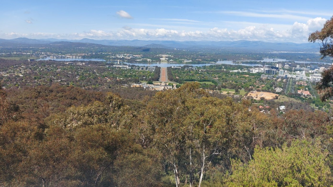 feature image for Morning walk - Mt Ainslie from Hackett