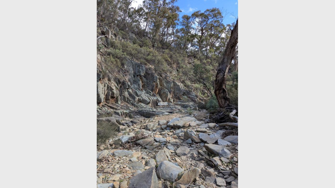 feature image for E-M Wednesday Walk (BBC led): Spring Creek circuit – Yanununbeyan National Park