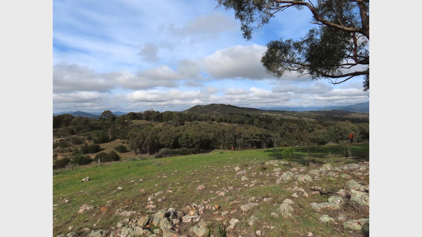 feature image for Exploring a new reserve near Stromlo: Bluetts Block