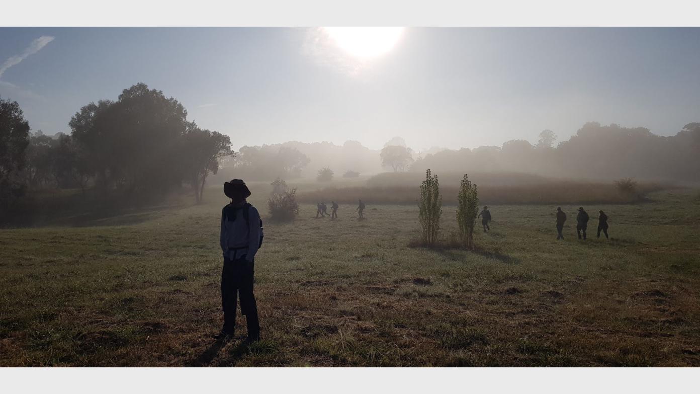 feature image for Dunlop and Jarramlee-West MacGregor Grasslands NRs - Trigs and Nature Reserves #8