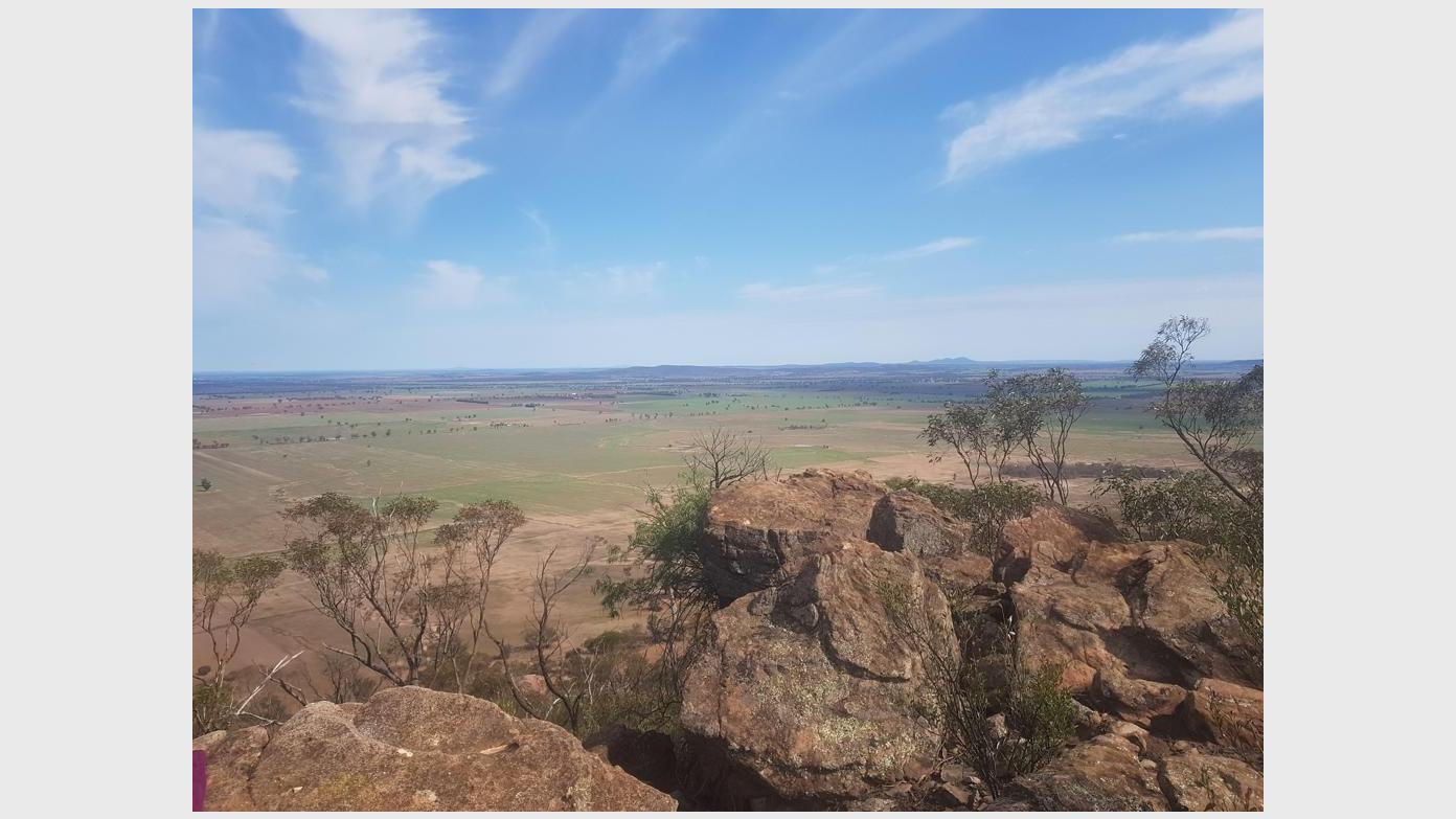 feature image for Overnight in the Weddin Mountains National Park