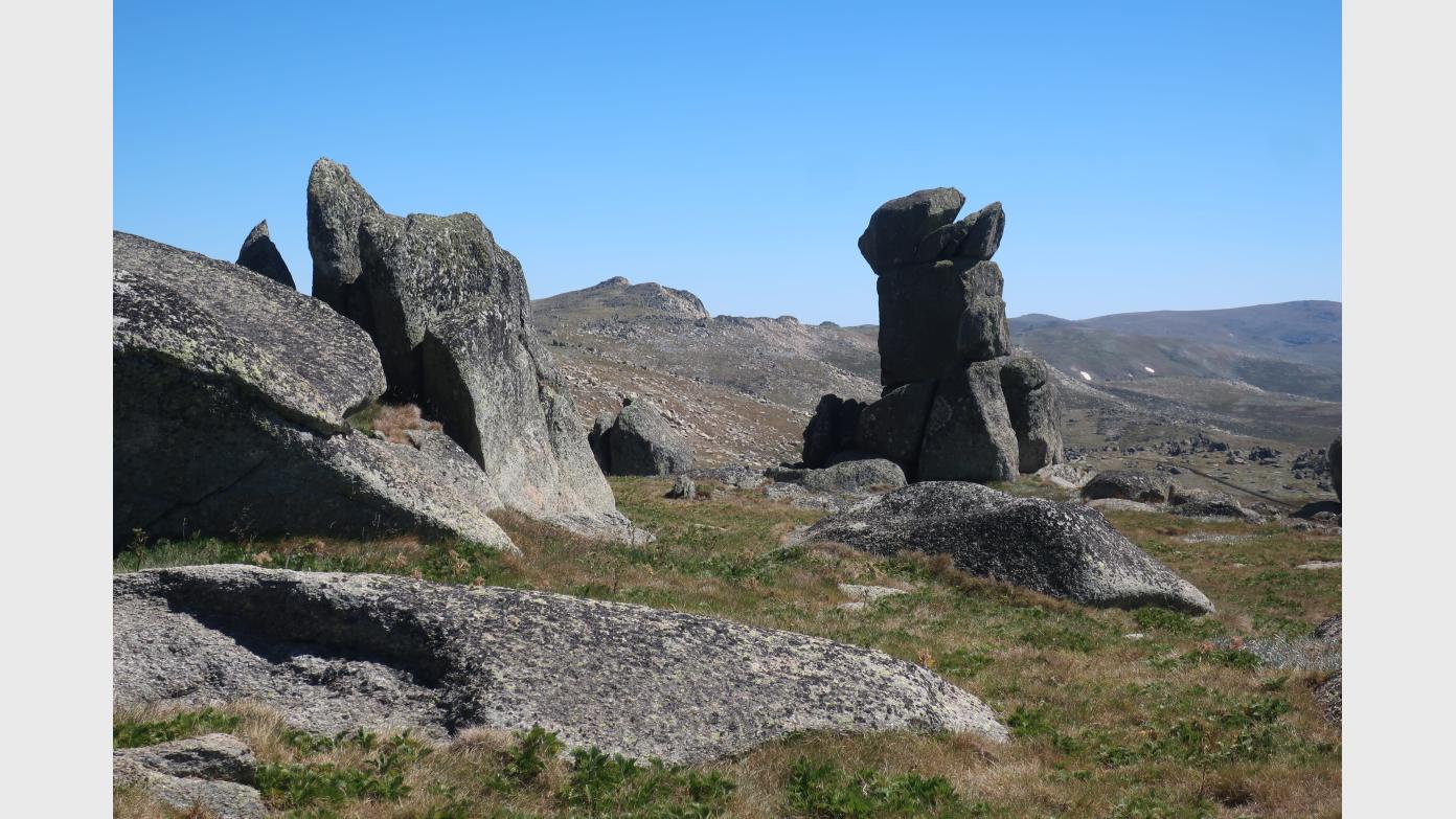 feature image for Family walks based in Thredbo