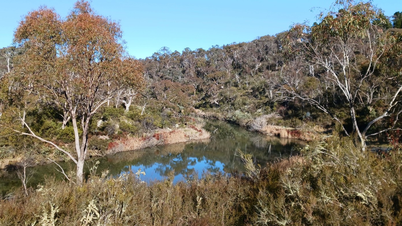 feature image for Molonglo Gorge Nature Reserve