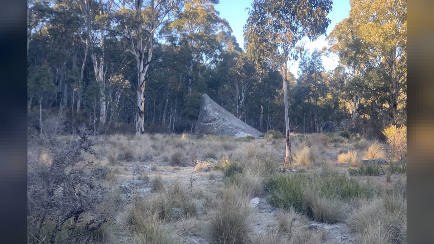 feature image for M/H WEDNESDAY WALK Some wooded country south of the Spinnaker.