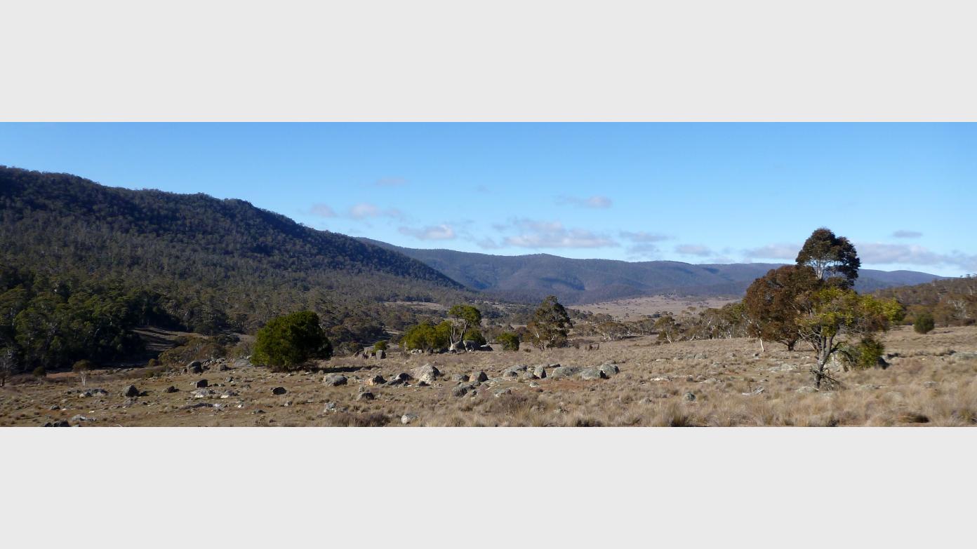 feature image for Rendezvous Creek Namadgi National Park