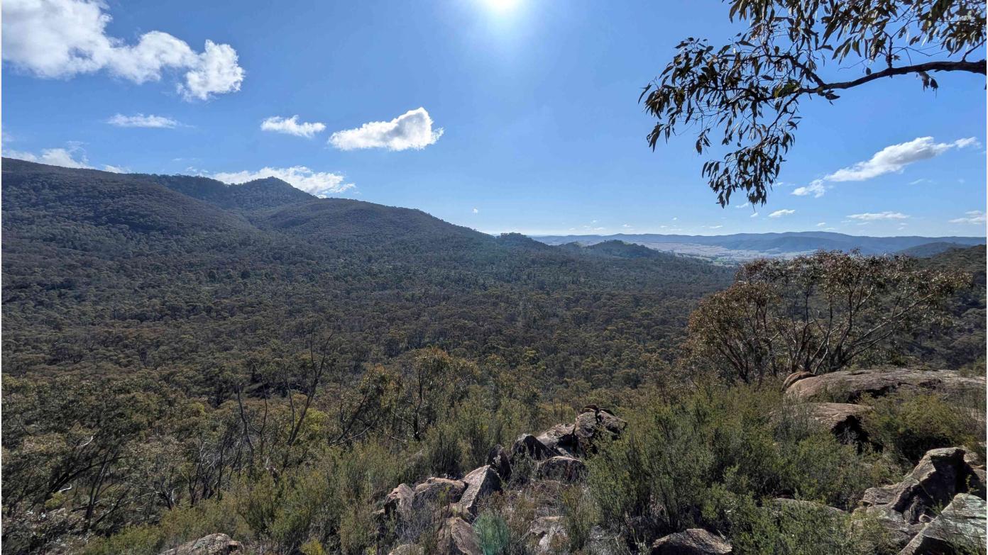 feature image for Medium-Hard Wednesday Walk, 8 July 2026, Snake Rock Loop (CBC)