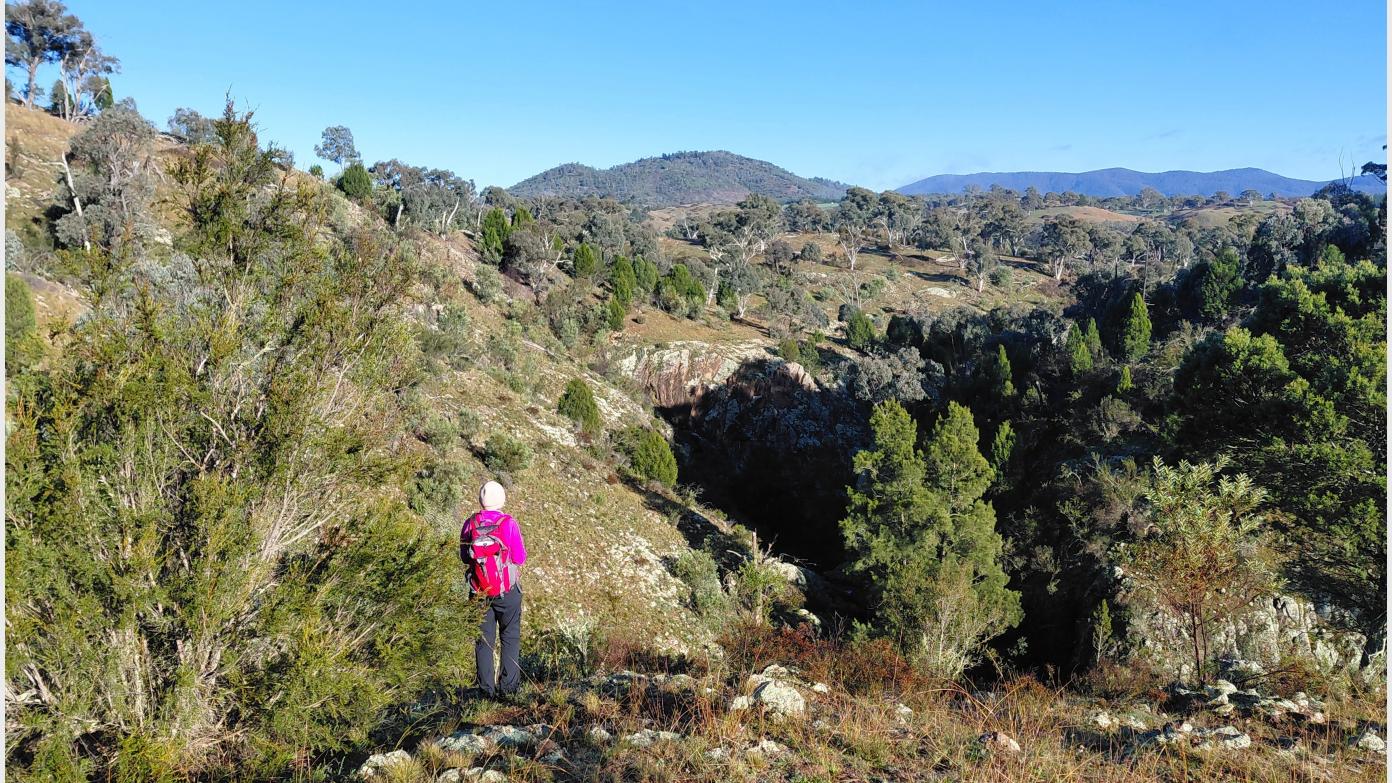 feature image for Stoney Creek Nature Reserve