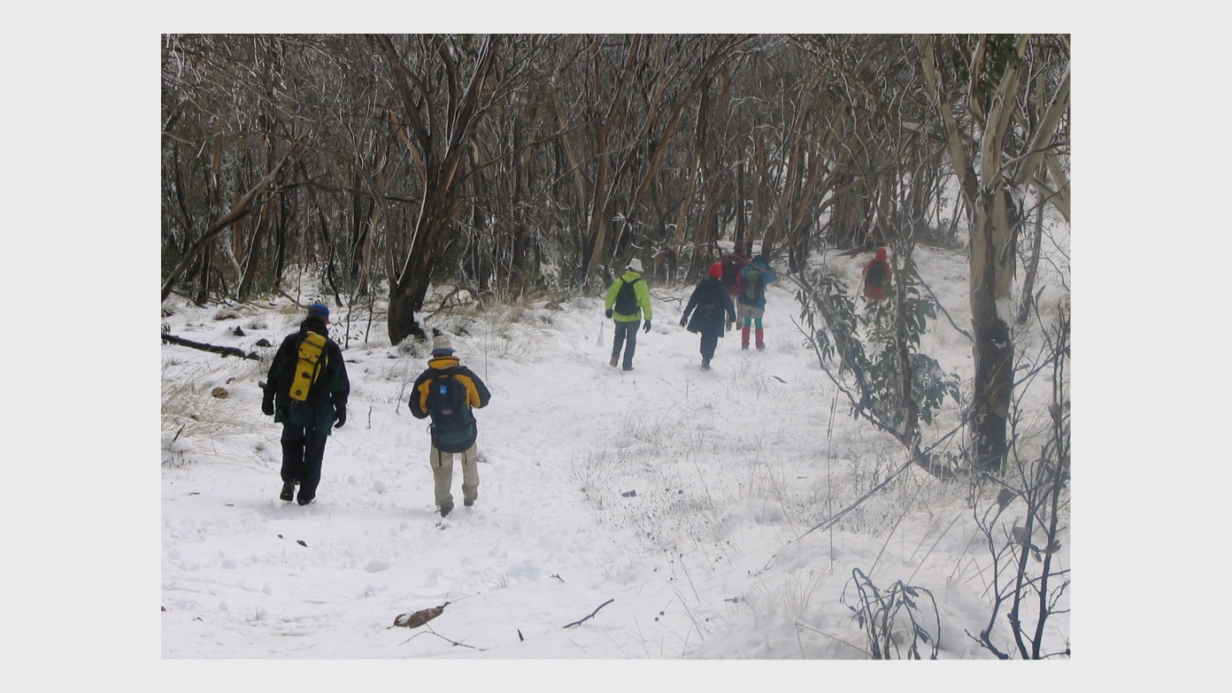feature image for Checkout possible snow on Pierce Hill