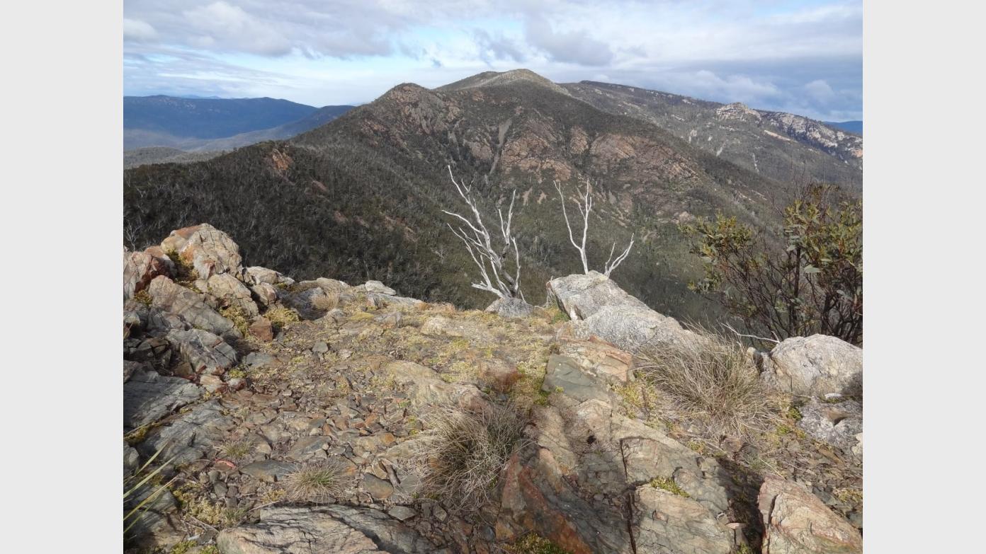 feature image for Stroll up Camels Hump, Tidbinbilla Nature Reserve