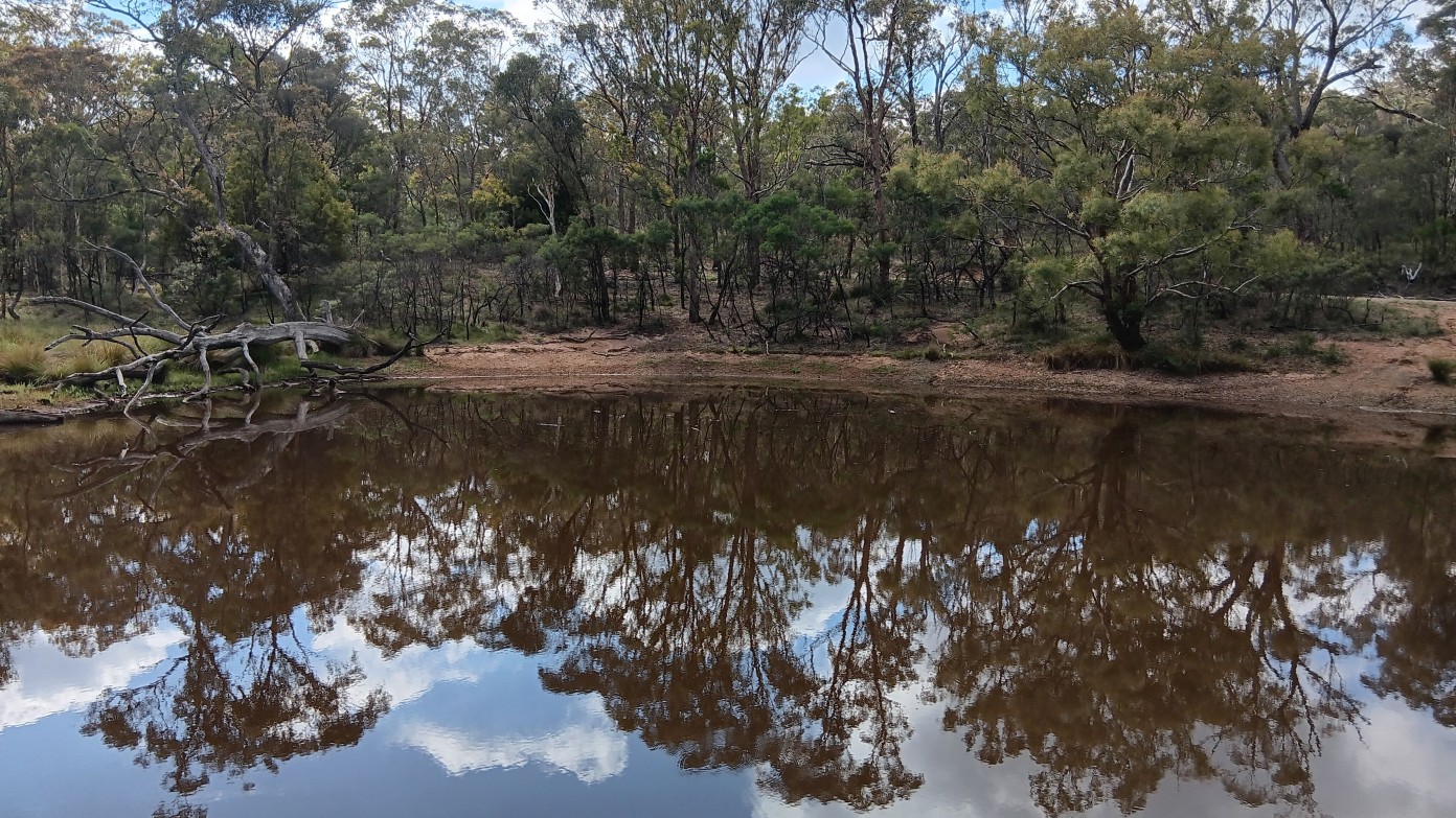 feature image for Mt Majura loopy II