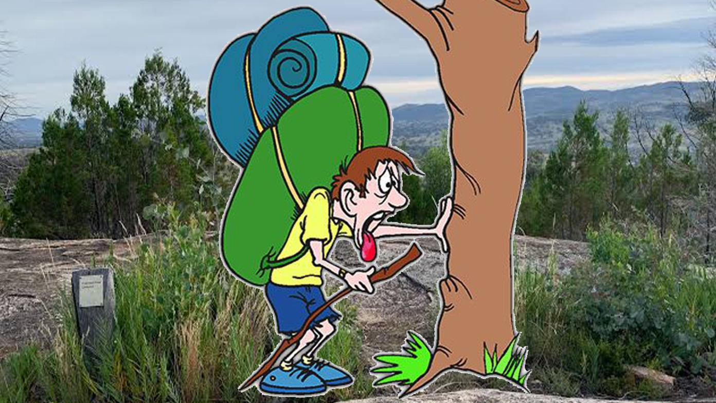 feature image for Mt Tennent Pack Training
