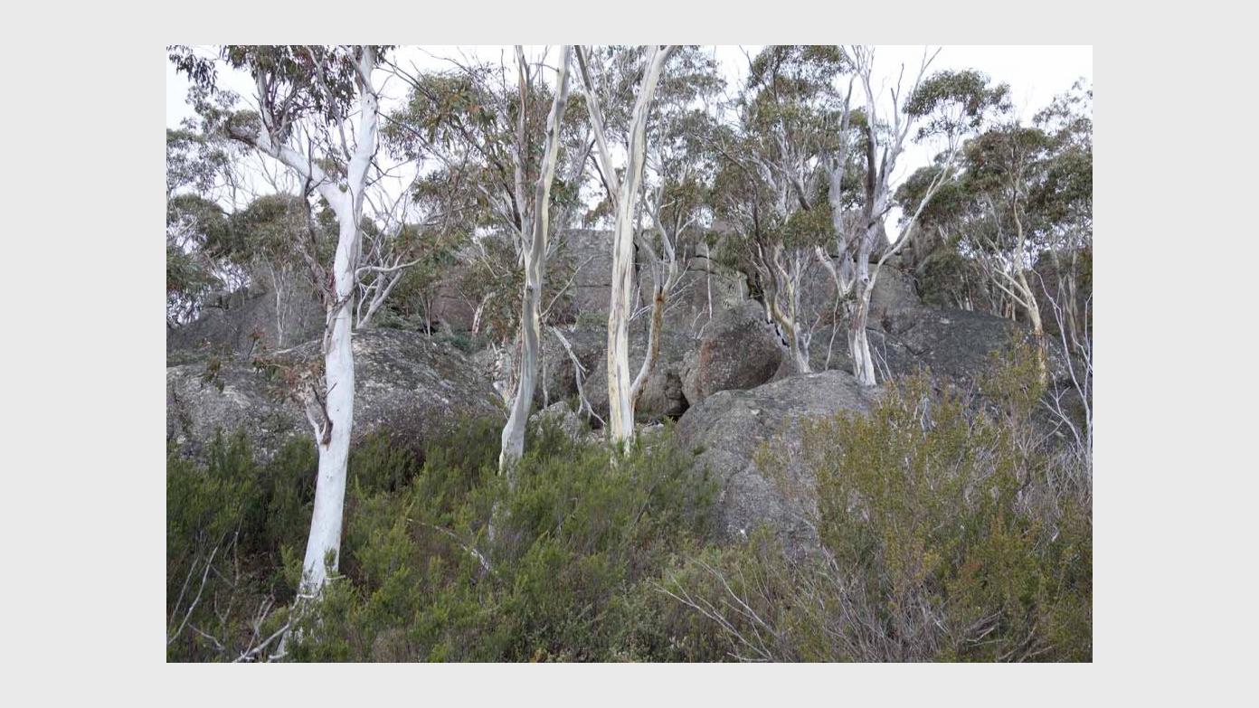 feature image for The Yerrabi Track on a fine winter morning