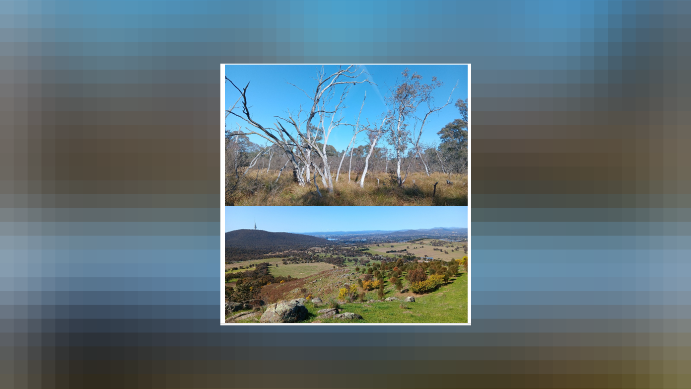 feature image for Aranda and Mt Painter wander