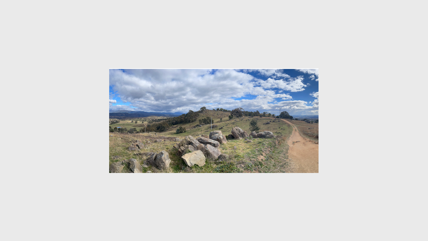feature image for E/M #2 Wednesday Walk – Cooleman Ridge Bicentennial Trail (BNT) to the Arawang Horse Paddock.