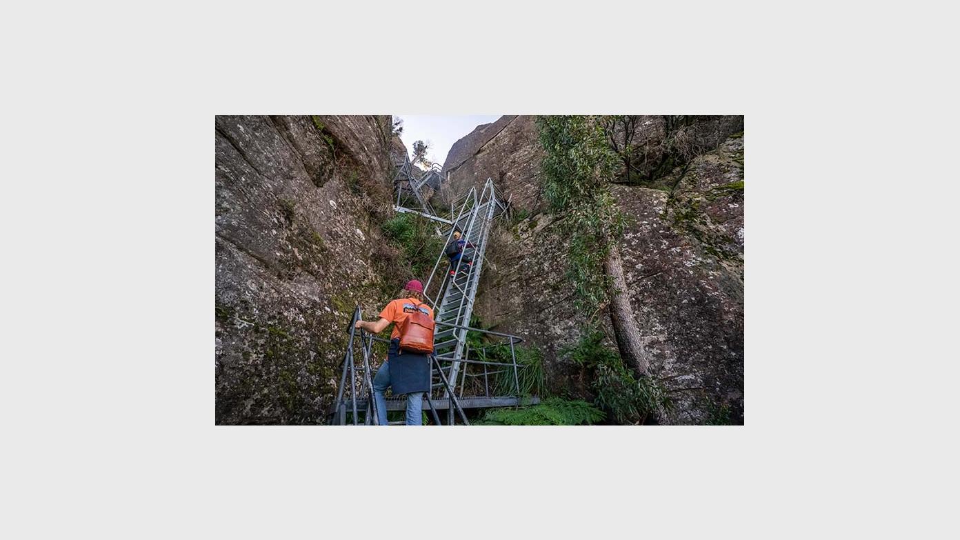 feature image for Pigeon House Mountain at the last minute