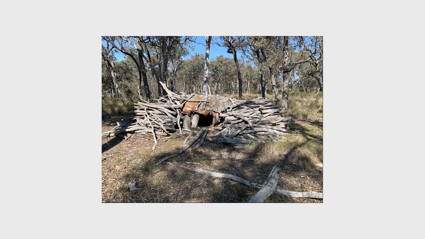 feature image for Easy-Medium Wednesday Walk #1, 2 Sept, Cuumbeun Nature Reserve (BBC)