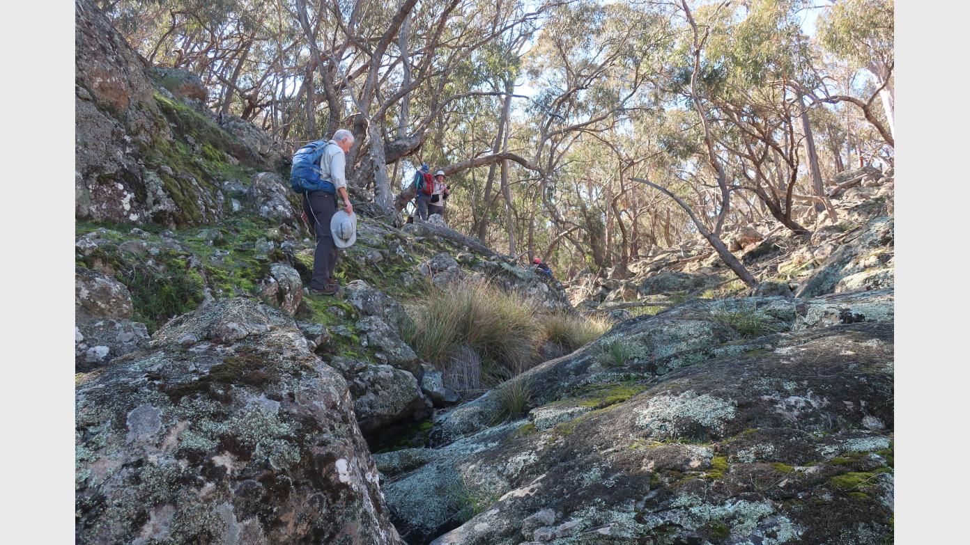 feature image for Bango Nature Reserve