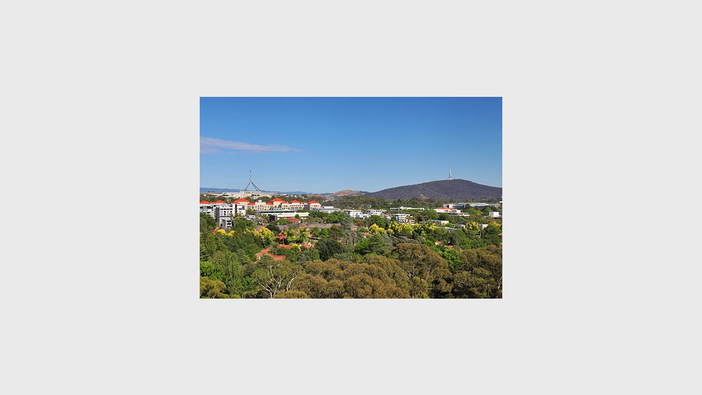 feature image for Red Hill & Davidson Hill Loop Walk - Pack Training