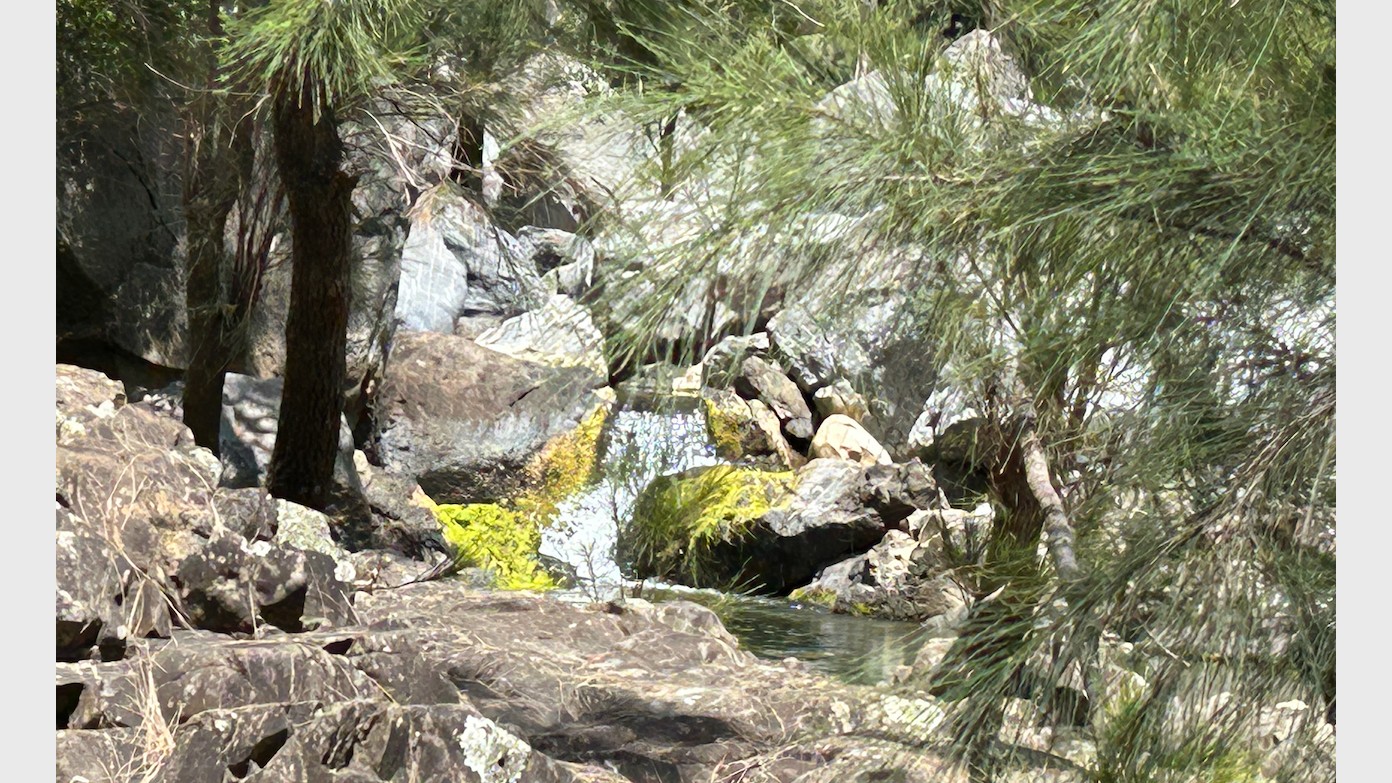 feature image for RED TRACK BUNGONIA NP