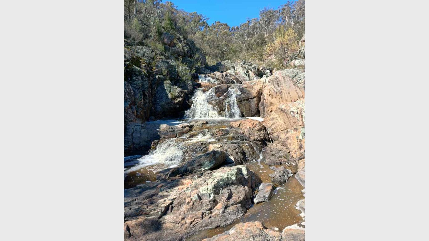feature image for Medium/Hard Wednesday Walk 9 Sep 26 - Gigerline Nature Reserve