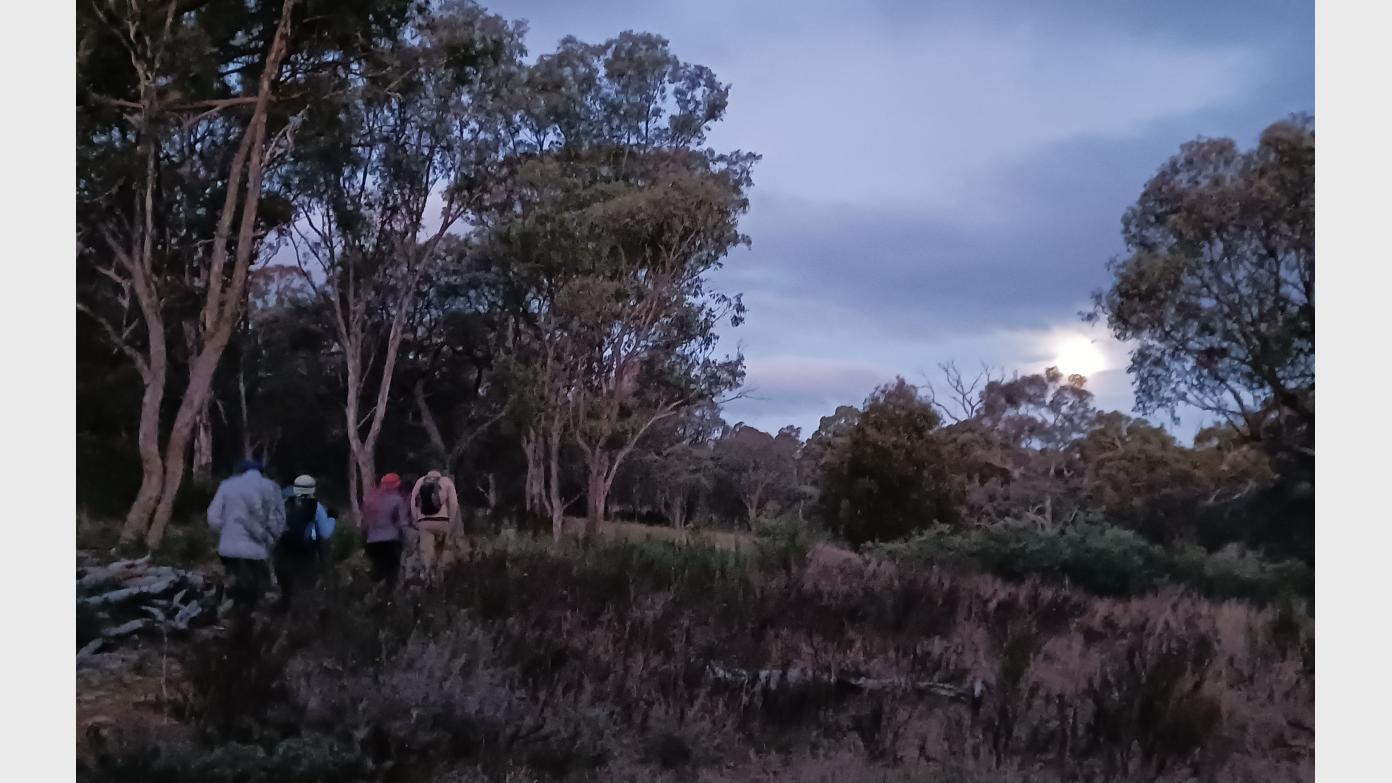 feature image for Evening walk - Sammy's Hill and a bit, with a full moon.