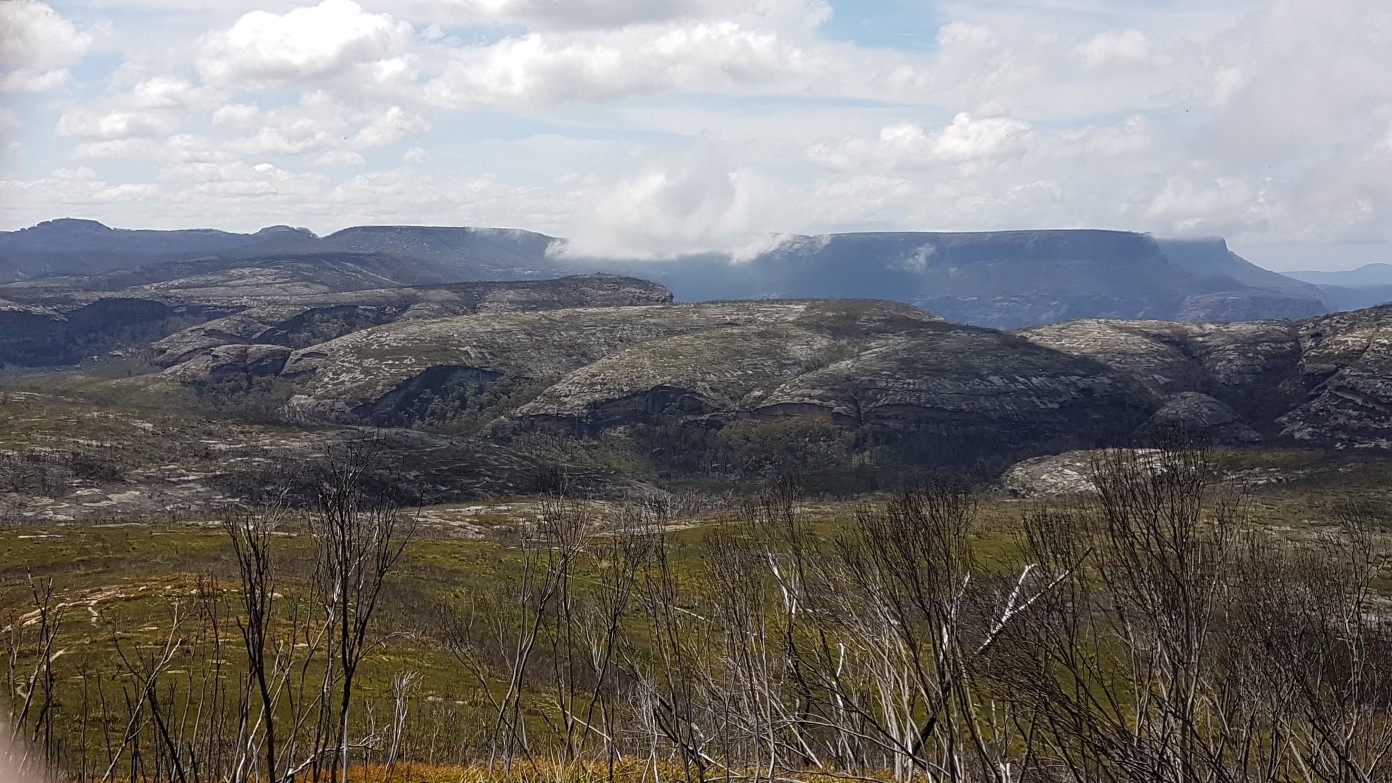 feature image for BUDAWANGS