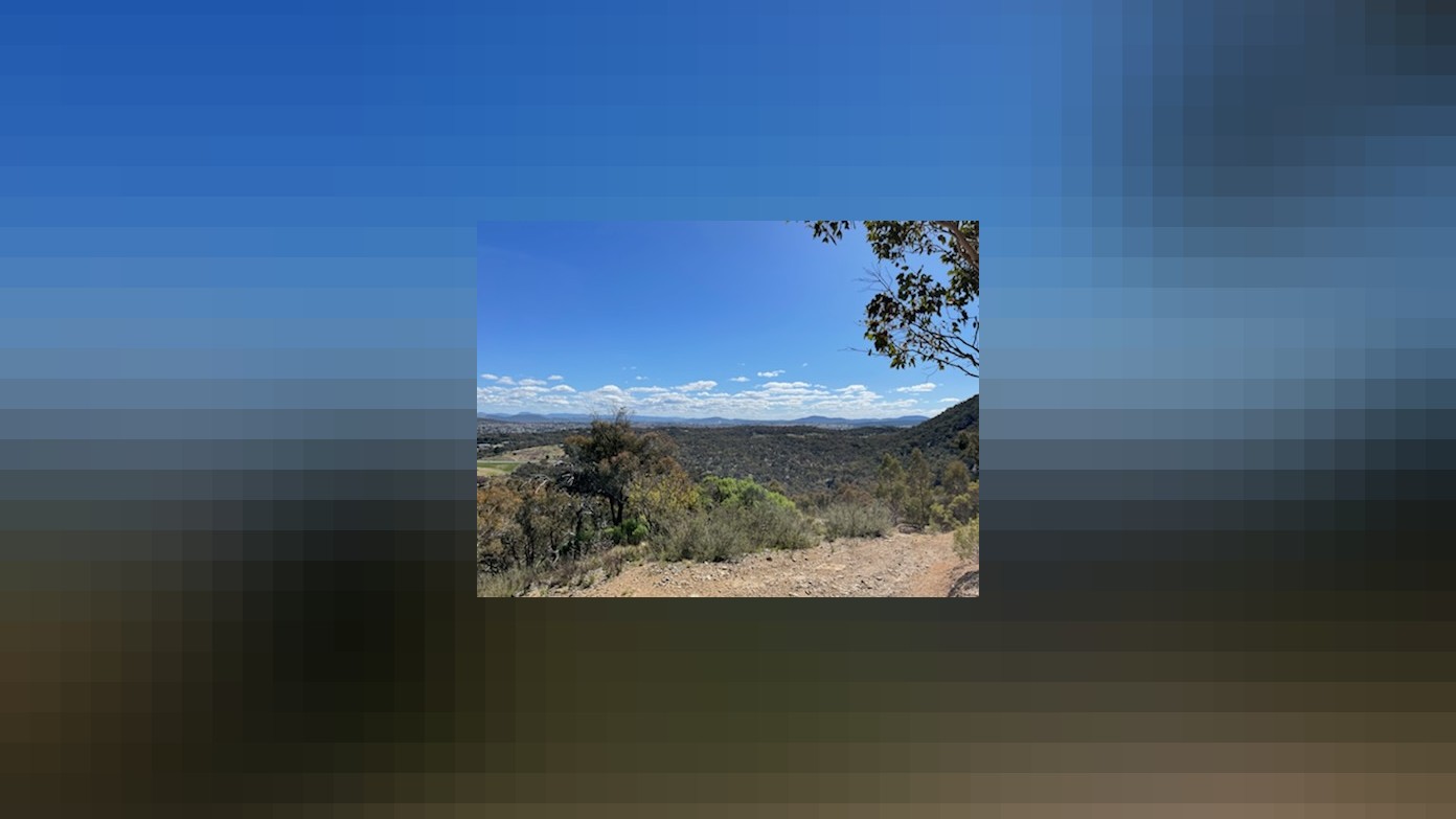 feature image for An exploration of the Queanbeyan end of Cuumbeun