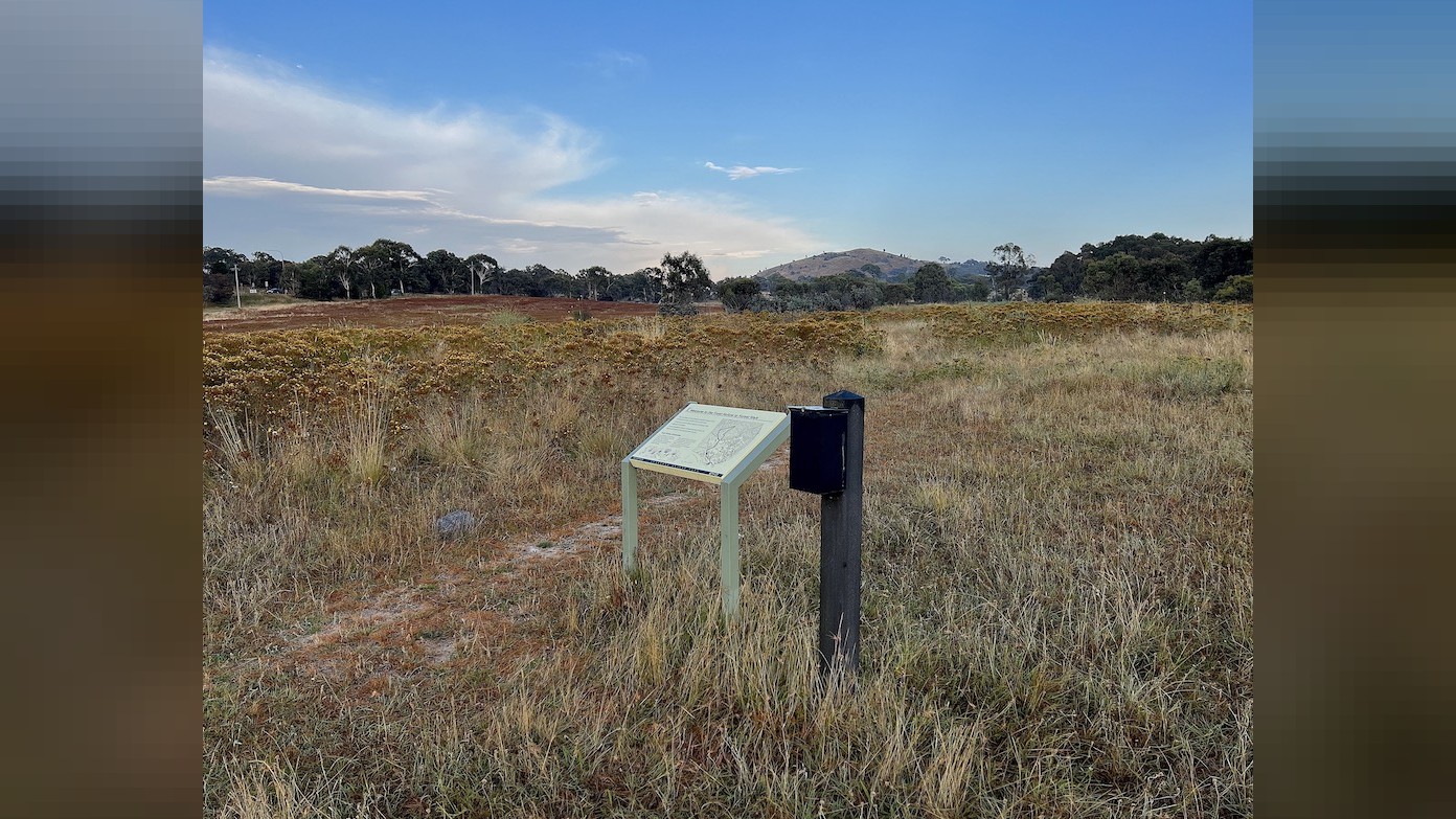 feature image for Evening walk – Frost Hollow to Forest Walk