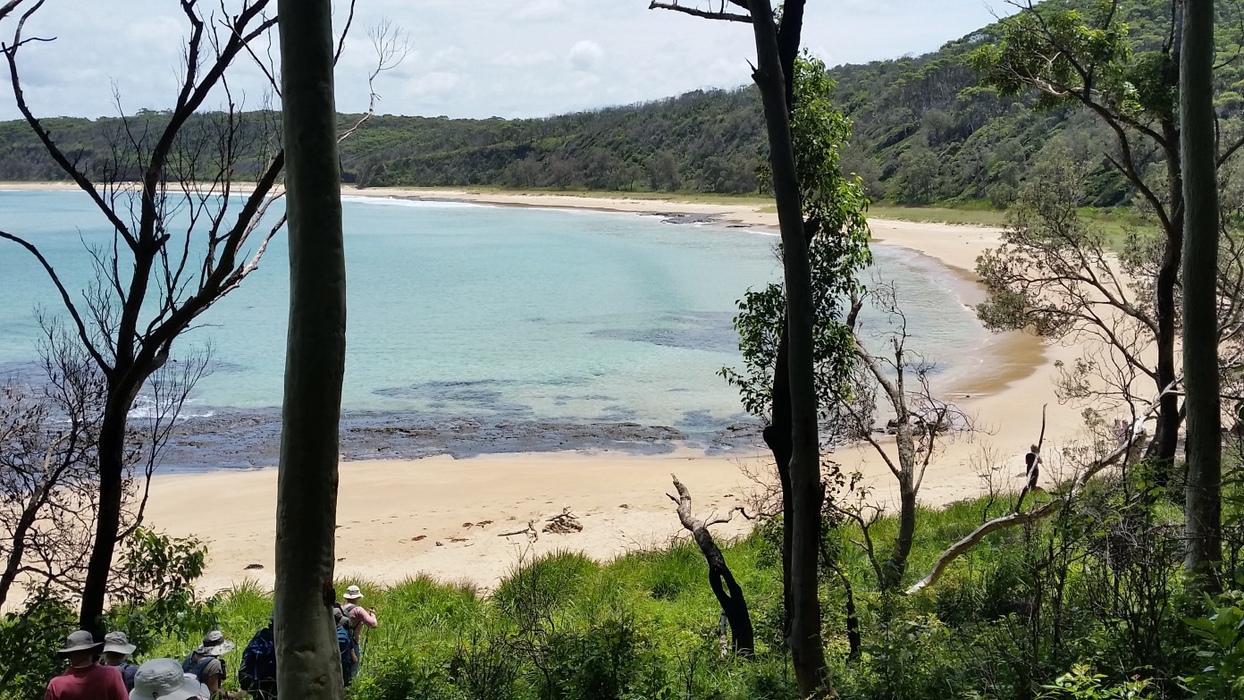 feature image for Janet and Jen's annual Depot Beach camp