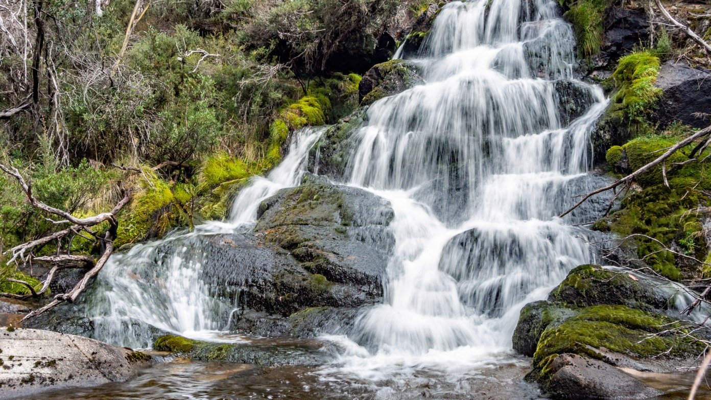 feature image for Upper Stockyard Ck Falls