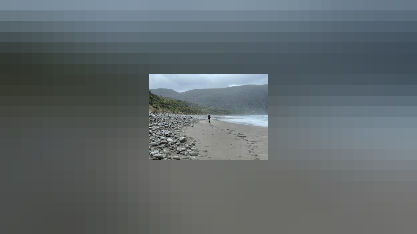 feature image for Tasmania South West National Park: South Coast Track (Trip Full with Waitlist)